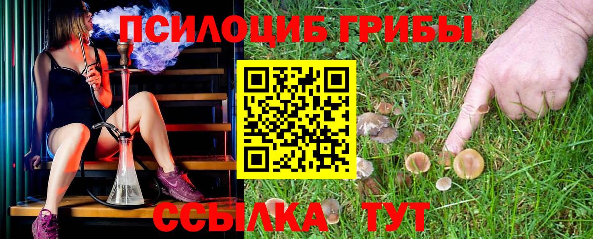 Псилоцибиновые грибы Magic Shrooms  Вход с VPN  Новоуральск 